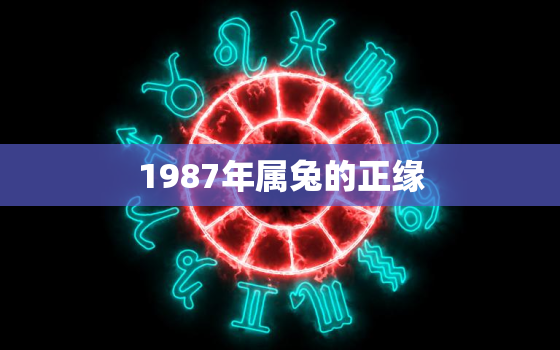 1987年属兔的正缘，1987年属兔正缘出现在哪里