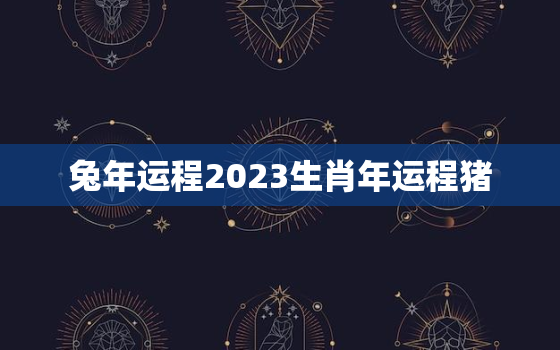 兔年运程2023生肖年运程猪，兔2023年运势
