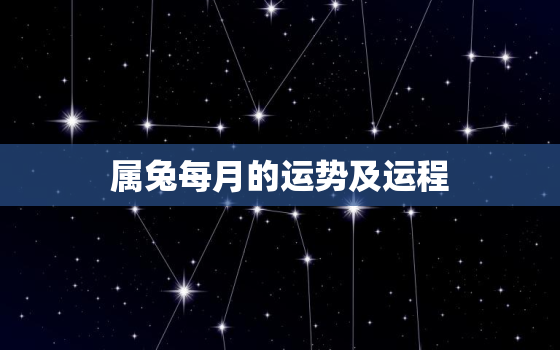 属兔每月的运势及运程，属兔每个月份的运势