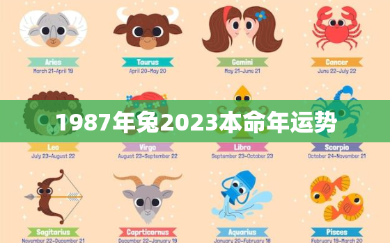 1987年兔2023本命年运势，1987年兔2023本命年运势男