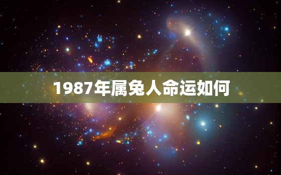 1987年属兔人命运如何，87年属兔人最穷不过36岁