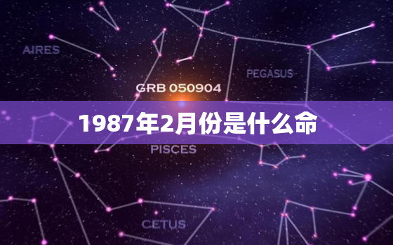 1987年2月份是什么命，1987年2月属于什么命