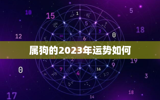 属狗的2023年运势如何，属狗的2023年运程