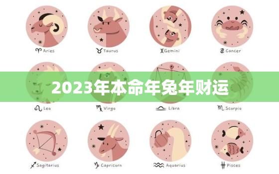 2023年本命年兔年财运，2023本命年属什么生肖