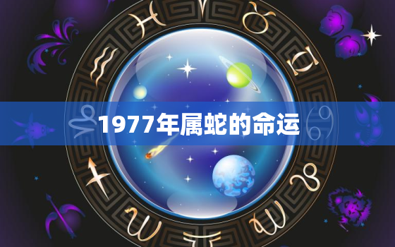 1977年属蛇的命运，1986年属虎命运