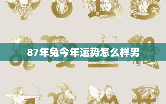 87年兔今年运势怎么样男，87年属兔男今年运势如何