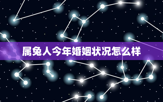 属兔人今年婚姻状况怎么样，属兔的今年婚姻怎么样2021