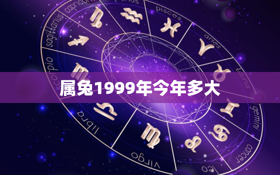 属兔1999年今年多大，1999年属兔的今年多少岁