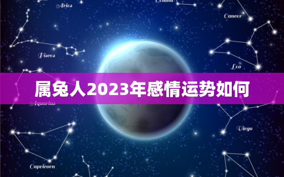 属兔人2023年感情运势如何，属兔人2023年感情运势如何样