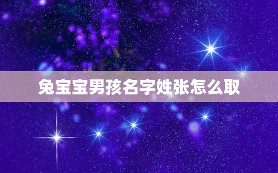 兔宝宝男孩名字姓张怎么取，张姓属兔好听的名字