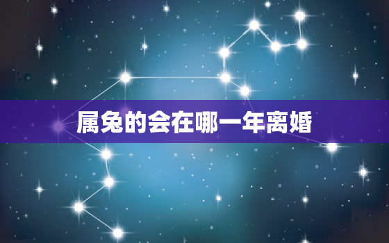 属兔的会在哪一年离婚，2022年属兔下半年要出大事