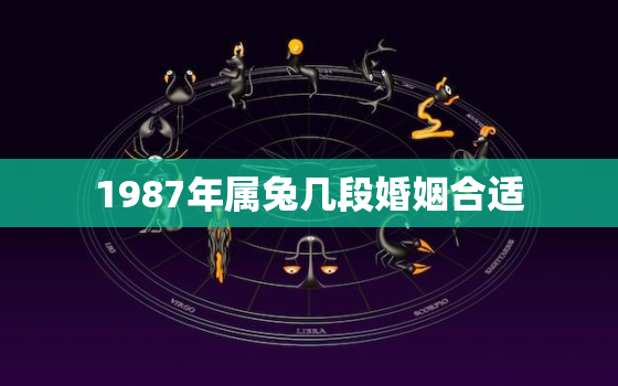 1987年属兔几段婚姻合适，1987年属兔的婚姻如何