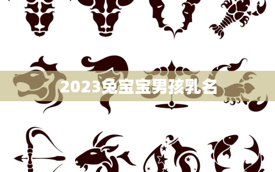 2023兔宝宝男孩乳名，2023年兔宝宝男孩