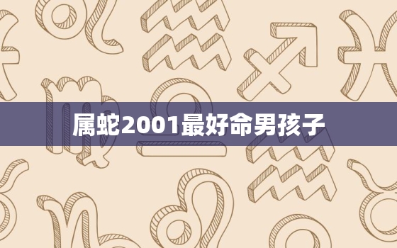 属蛇2001最好命男孩子，2001年属蛇的男孩适合什么工作