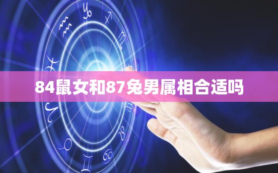 84鼠女和87兔男属相合适吗，女84鼠男87兔婚姻事业财运怎么样