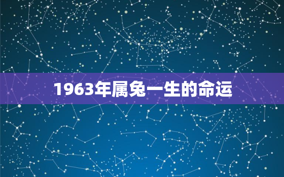 1963年属兔一生的命运，1963年属兔人命运