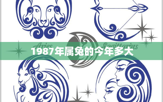 1987年属兔的今年多大，1987年属兔今年多大岁了