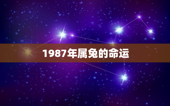 1987年属兔的命运，87属兔一生有几次婚姻