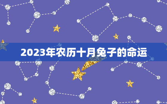 2023年农历十月兔子的命运，2023年农历十月黄道吉日