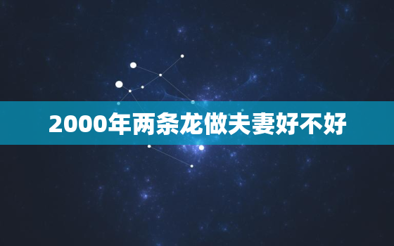 2000年两条龙做夫妻好不好，2000年的两个龙在一起好不好