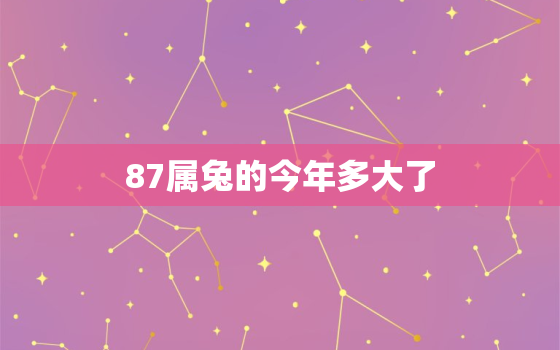 87属兔的今年多大了，87属兔的今年多大虚岁