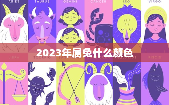 2023年属兔什么颜色，2023年属兔的幸运色和禁忌色