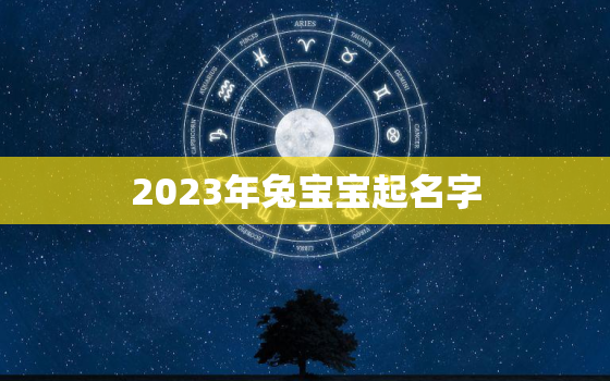 2023年兔宝宝起名字，兔年男孩名字寓意好的名字