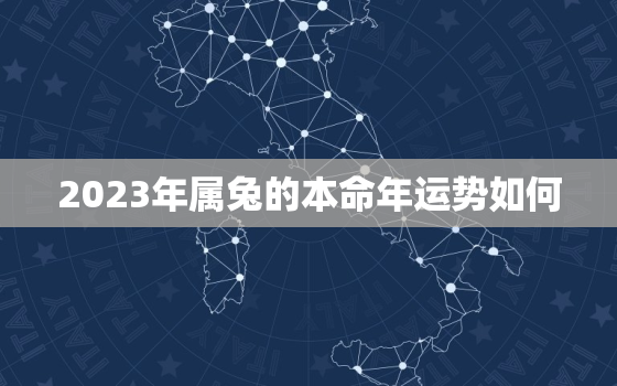 2023年属兔的本命年运势如何，2023年属兔人的全年运势如何