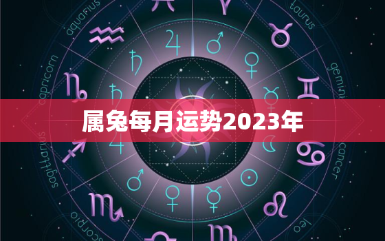 属兔每月运势2023年，属兔运势2023年运势详解