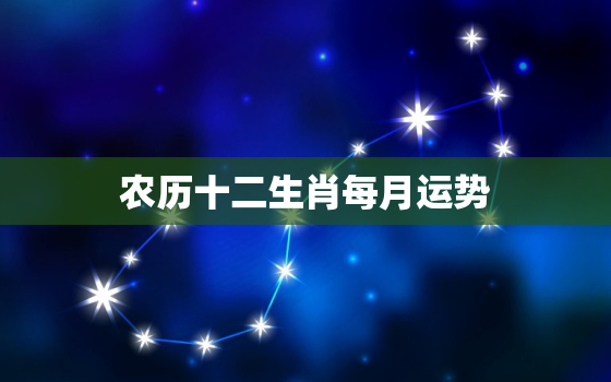 农历十二生肖每月运势，农历十二生肖每月运势2022