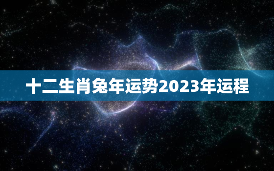 十二生肖兔年运势2023年运程，生肖兔2023年运势及每月运势