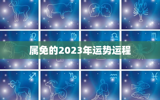 属免的2023年运势运程，属兔2023年运势及运程_2022年属兔人的全年运势