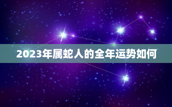 2023年属蛇人的全年运势如何，2022年属蛇下半年要出大事