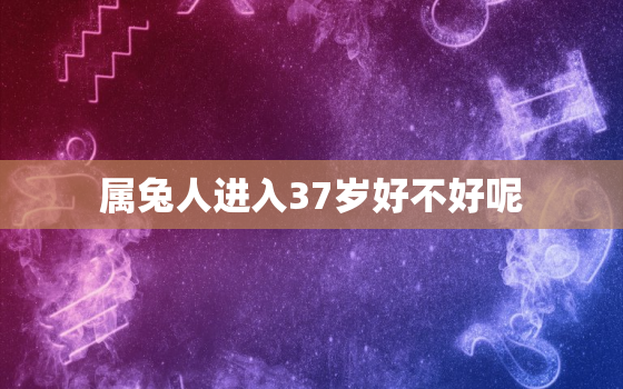 属兔人进入37岁好不好呢，属兔37岁有什么苦