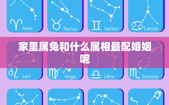 家里属兔和什么属相最配婚姻呢，家里属兔和什么属相最配婚姻呢男