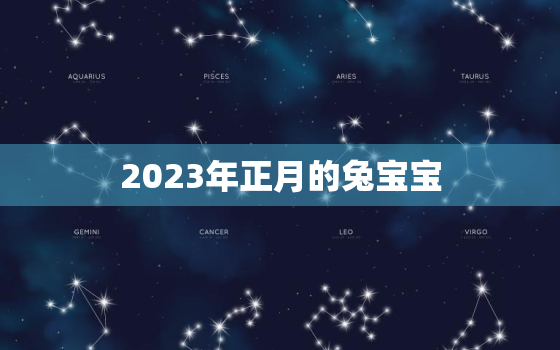 2023年正月的兔宝宝，2023年正月的兔宝宝是什么星座