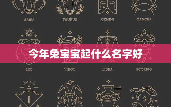 今年兔宝宝起什么名字好，今年兔宝宝起什么名字好男孩