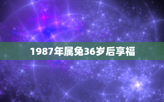 1987年属兔36岁后享福，87年的兔36岁后命好