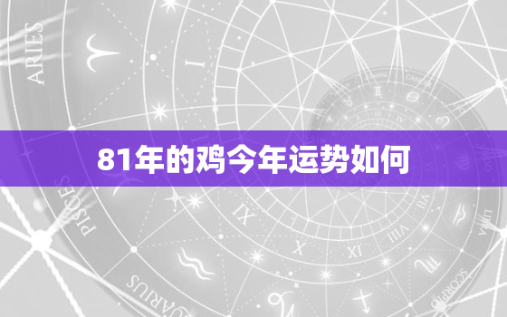 81年的鸡今年运势如何，81年属鸡今年运势2021年运势