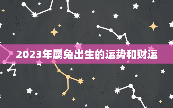 2023年属兔出生的运势和财运，2023年属兔一生命运