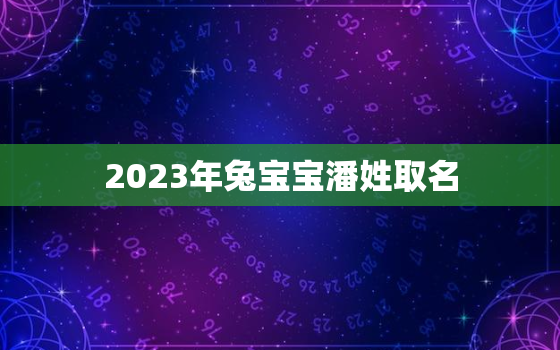 2023年兔宝宝潘姓取名，潘姓宝宝起名牛年