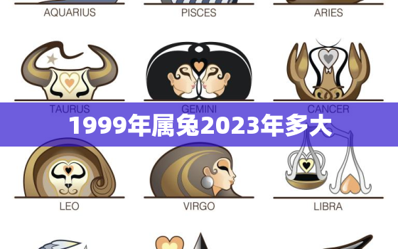 1999年属兔2023年多大，1999年生肖兔2023年运势