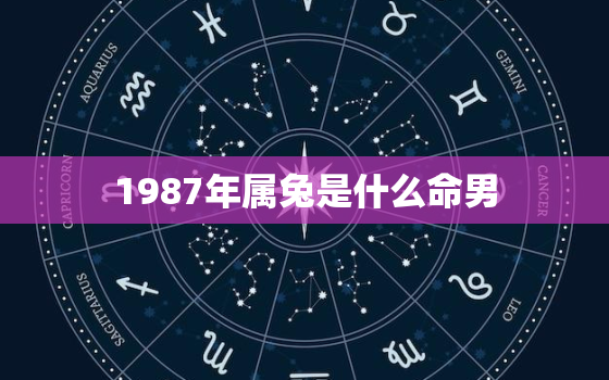 1987年属兔是什么命男，87年属兔人最穷不过36岁