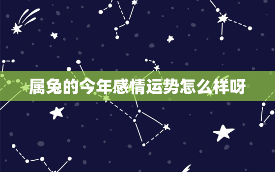 属兔的今年感情运势怎么样呀，属兔今年感情运势如何