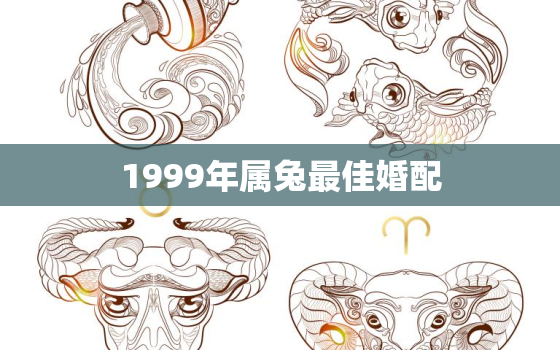 1999年属兔最佳婚配，属相最佳婚配