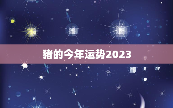 猪的今年运势2023，属猪2023年运势及运程 2022年属猪人的全年每月运势