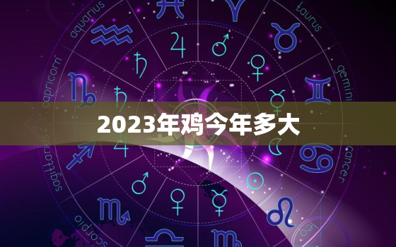 2023年鸡今年多大，2023年属鸡的多大了