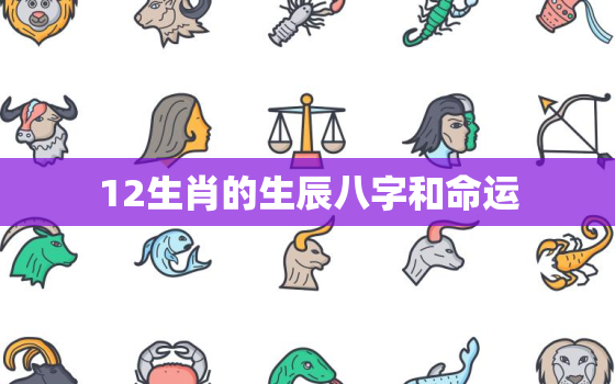 12生肖的生辰八字和命运，十二生肖生辰八字算命