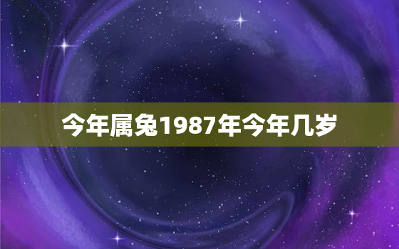 今年属兔1987年今年几岁，1987年生肖兔今年几岁