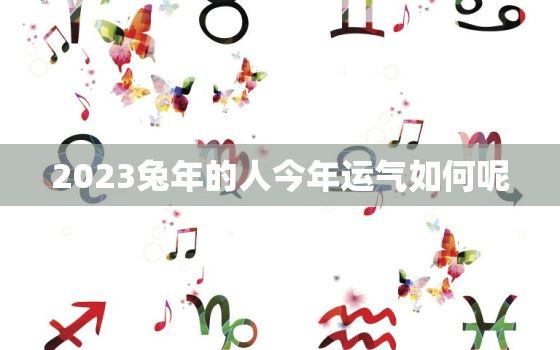 2023兔年的人今年运气如何呢，2023年兔人的全年运势如何